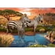 thumbnail image 1 of Rompecabezas Ravensburger Zebra de 500 piezas para adultos, 1 of 9