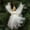 White, variant on Christmas Angel Tree Topper, Elegant Fairy Angel Ornament, Festive Pendant for Christmas Tree Decoration