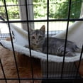 thumbnail image 3 of Hanging Cat Hammock, Pet Hammock for Cage, Adjustable Cat Bed Two Sides Comfortable/Waterproof Resting Sleepy Pad for Cats Small Dogs Rabbits or Other Small Animals, 3 of 5