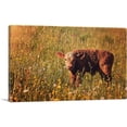 thumbnail image 1 of ARTCANVAS Calf In Field Home decor Canvas Art Print - Size: 40" x 26" (1.50" Deep), 1 of 9
