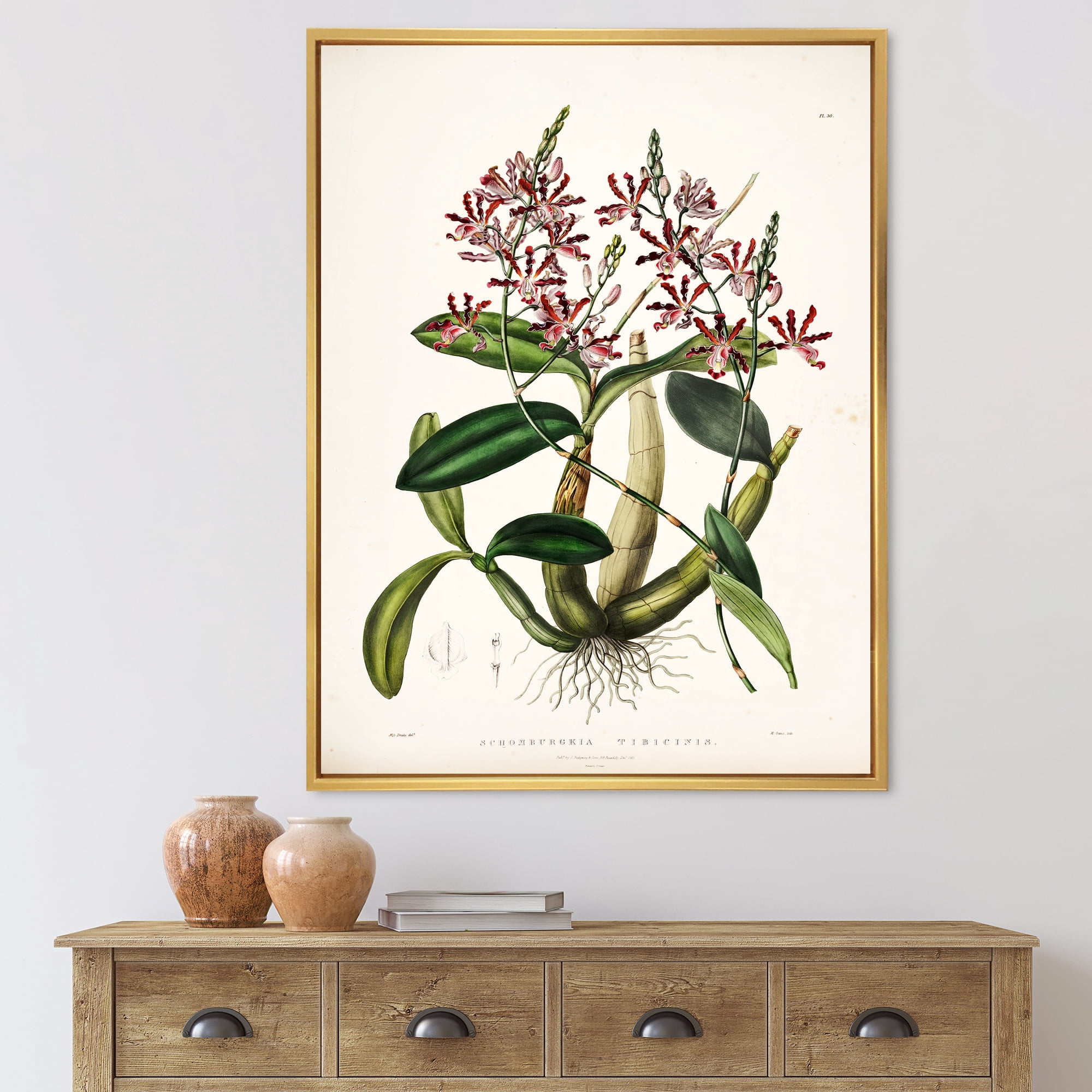 Designart 'Ancient Plant Life VII' Traditional Framed Canvas Wall Art Print