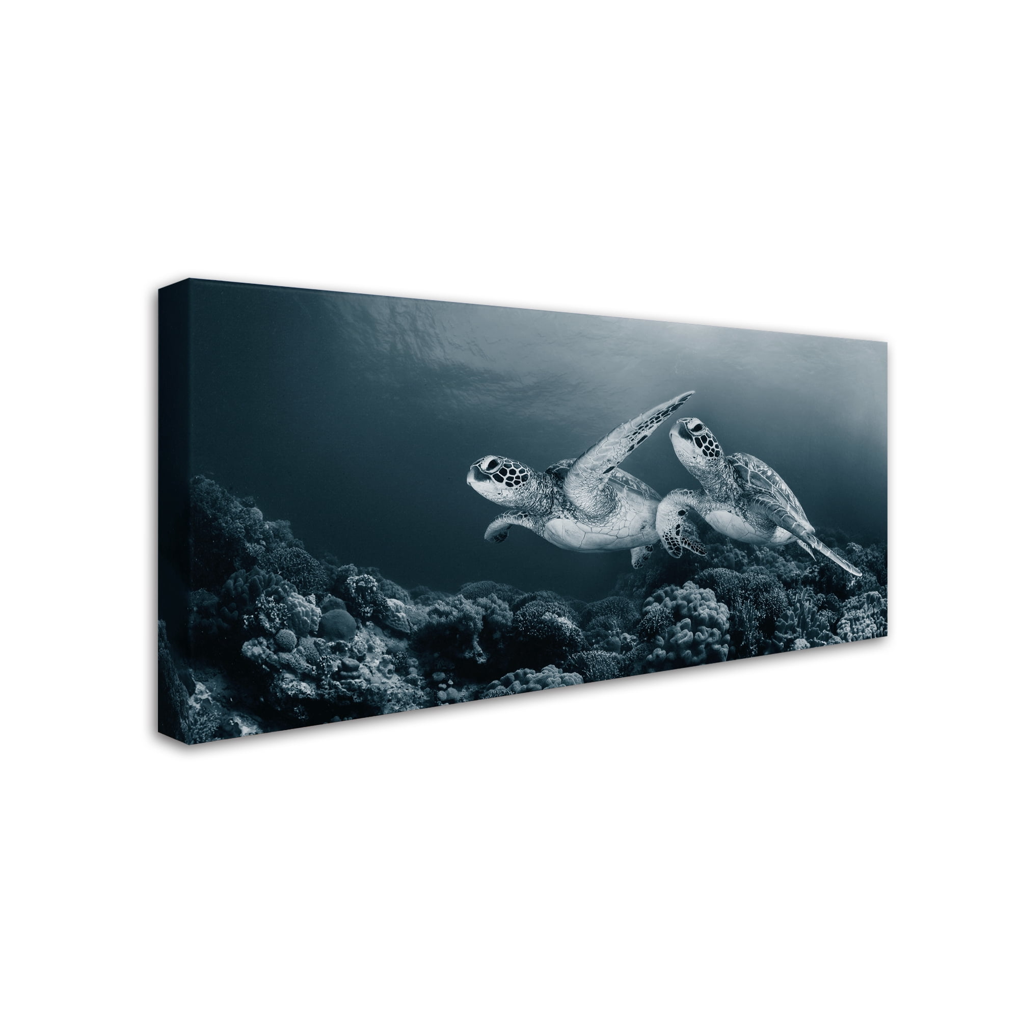Andrey Narchuk 'Twin Dance' Canvas Art