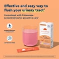 thumbnail image 4 of Uqora Flush - Urinary Tract* with D-Mannose, Vitamin C, Vitamin B6, Potassium, Magnesium & Calcium - Gluten-Free & Vegan - Pink Lemonade Flavor - 10 Packets (1 Pack), 4 of 8