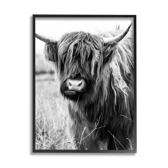 Stupell Industries Closeup Longhorn Cattle Grazing Monochrome Photography Framed Wall Art, 11 x 14, Design by Amy Brinkman