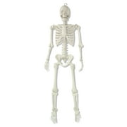 5ft Pearlized Poseable Skeleton Decoration, Halloween Outdoor Decor, by Way To Celebrate