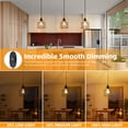 thumbnail image 5 of Hlite Plug in Pendant Light, Industrial Black Iron Cage, 15ft UL Cord with Dimmer, Farmhouse Hanging Light for Kitchen Bedroom, 5 of 14
