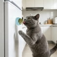 thumbnail image 6 of ZhangC Catnip Balls Cat, 360° Rotatable Catnip Wall Ball, Cat Nips Interactive Balls for Licking Boredom Relief Anxiety, Play Chew Teeth Cleaning for Indoor(Gray), 6 of 6