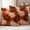 Orange, variant on Orange Black Flowers Outdoor Waterproof Throw Pillow Covers 20x20 Set of 2, Modern Abstract Blooms Floral Decorative Pillowcases Cushion Pillowcase for Couch Sofa Patio Outside Pillow Protector