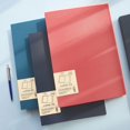 thumbnail image 4 of Jinsinto 30 pcs A4 File Bag File Holder Briefcase, Home & Office file storage bag, 4 of 5