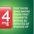 Equate Nicotine Polacrilex Coated Gum 4 mg, Cinnamon Flavor, Stop