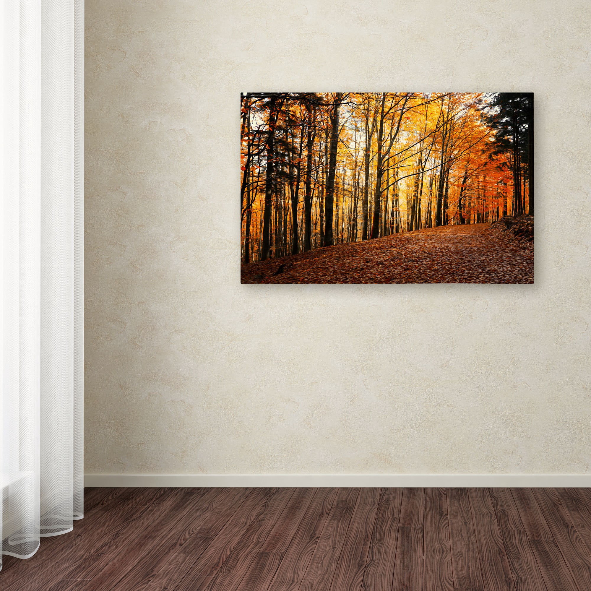 Trademark Fine Art "Autumn Leaves Pathway" Canvas Art by Philippe Sainte-Laudy
