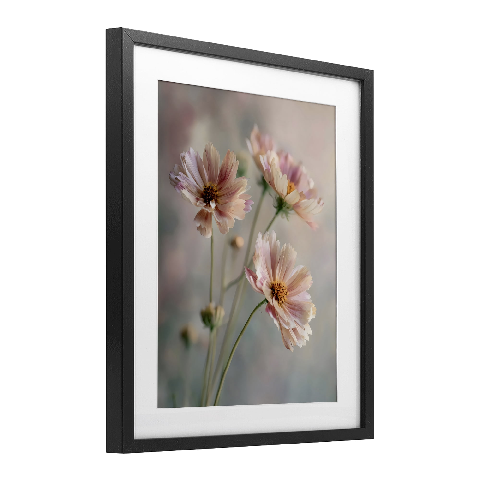 Stupell Industries Pink Daisies Close Up Black Framed Print Under Glass, design by Franklyn Gregory