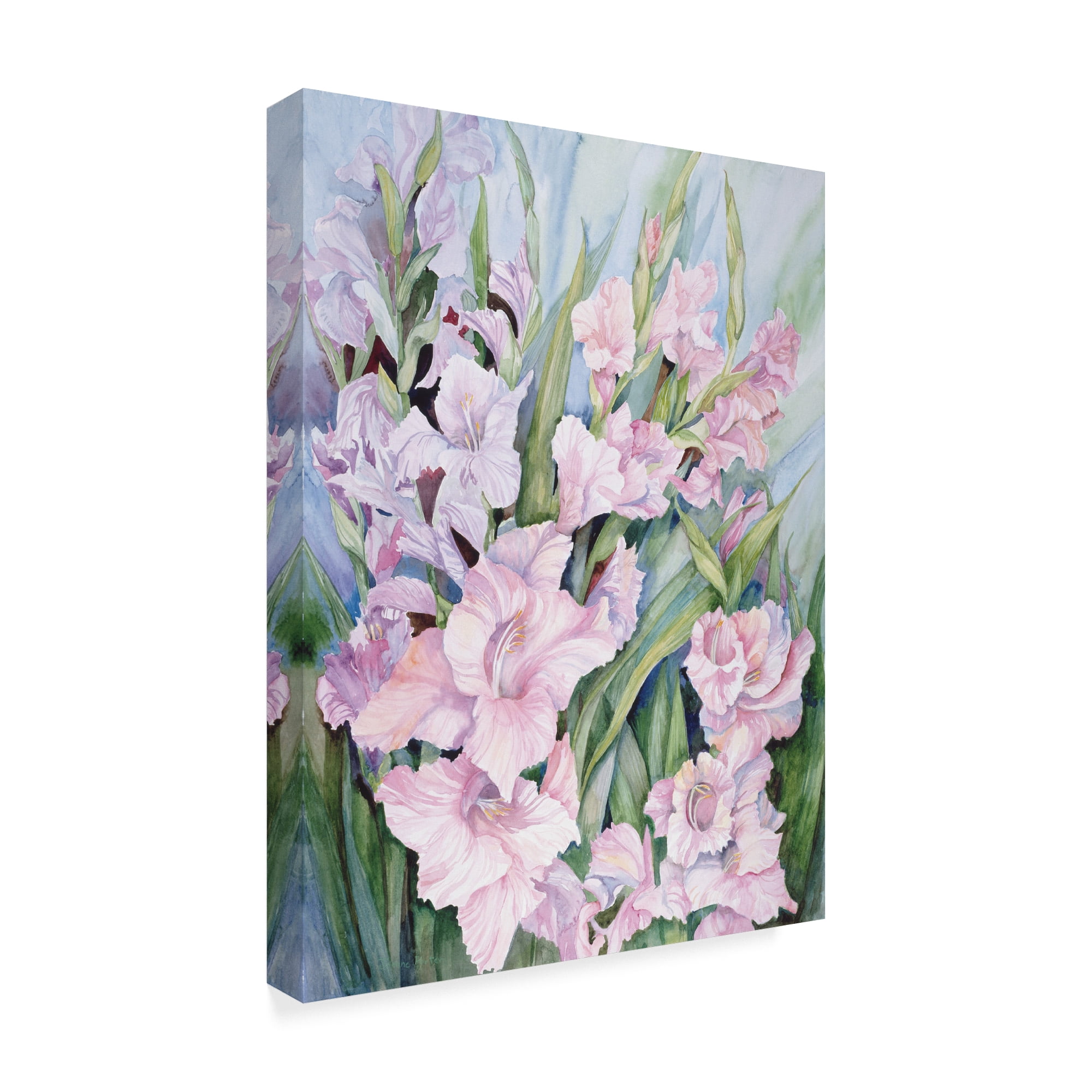 Trademark Fine Art 'Gladiolus' Canvas Art by Joanne Porter