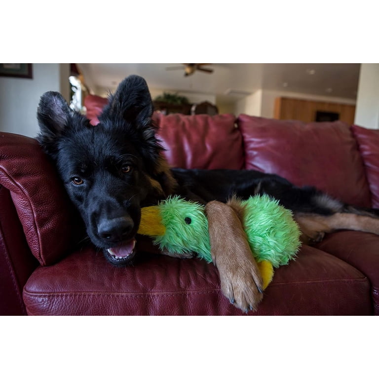 Multipet Plush Duckworth Dog Toy, 13 Inches photo 3