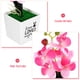 thumbnail image 5 of Bonsái artificial de orquídea polilla para decoración de escritorio, flor artificial en maceta, planta en maceta simulada, 5 of 7