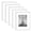 White, variant on 8x10 Silver Picture Frame Set of 5, Display Pictures 5x7 with Mat or 8 x 10 Without, Wall Gallery Photo Frames