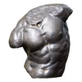 thumbnail image 1 of Estatua de torso masculino, figura escultórica, adorno de mesa para sala de estar. Oxidación, 1 of 8