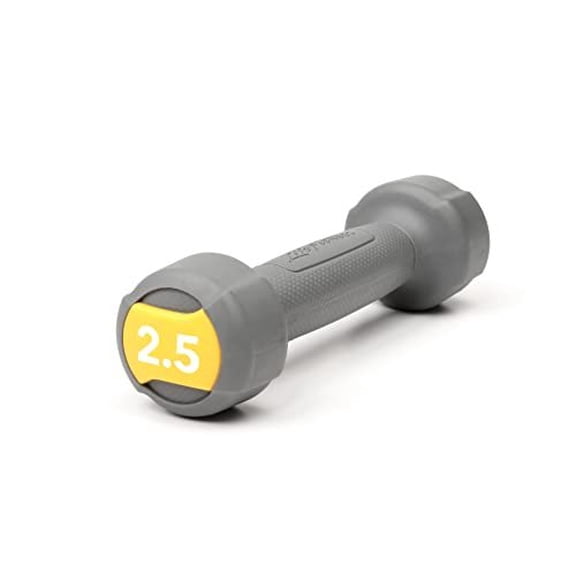 LIFE FITNESS STUDIO INDIVIDUAL GREY URETHANE 2.5LB DUMBBELL