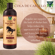 Black Stallion Premium Shampoo 3-Pack – Cola de Caballo & Biotin – Hair Volumizing Shampoo – Strengthening & Cleansing – 33.8 fl oz Each (1 L) – Green Royalty