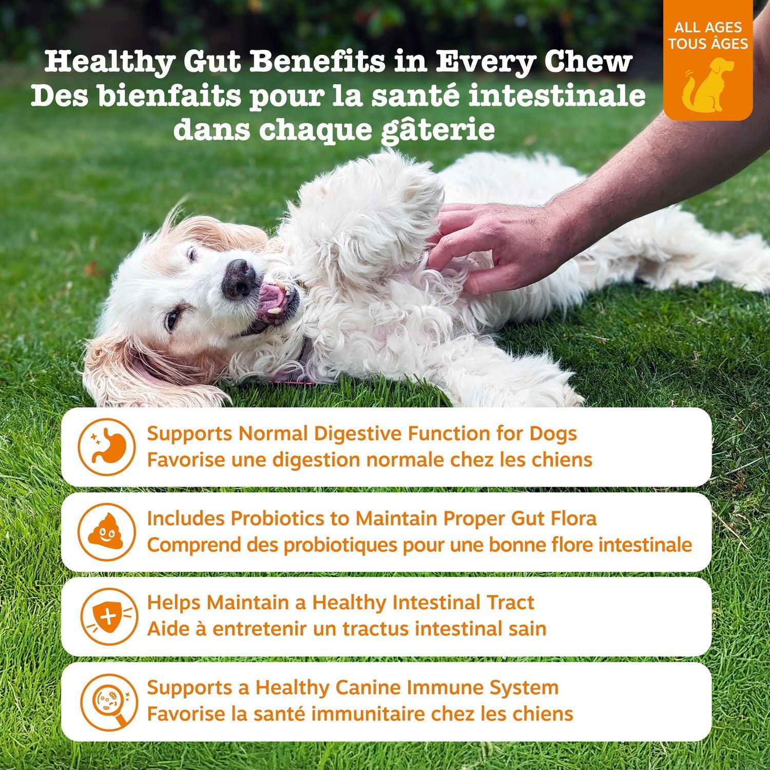 Zesty Paws Probiotic Soft Chews, Gut Flora & Digestive Supplement for Dogs, Pumpkin Flavour, 60-pk, 60 Chews