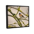thumbnail image 3 of Stupell Industries Orange Bird Mossy Tree Branch Photograph Jet Black Floating Framed Canvas Print Wall Art, Design by Lil' Rue, 3 of 6
