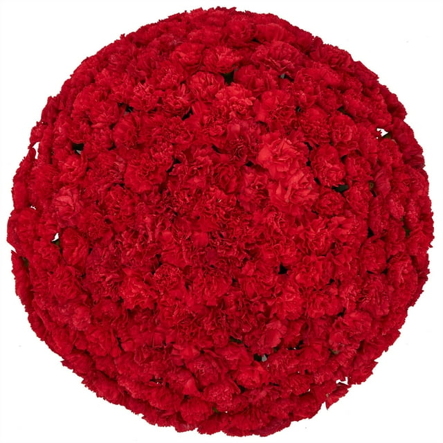Member's Mark Mini Carnations, Choose color and stem count
