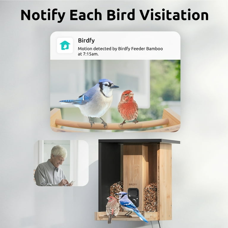 Netvue Birdfy Feeder AI Review