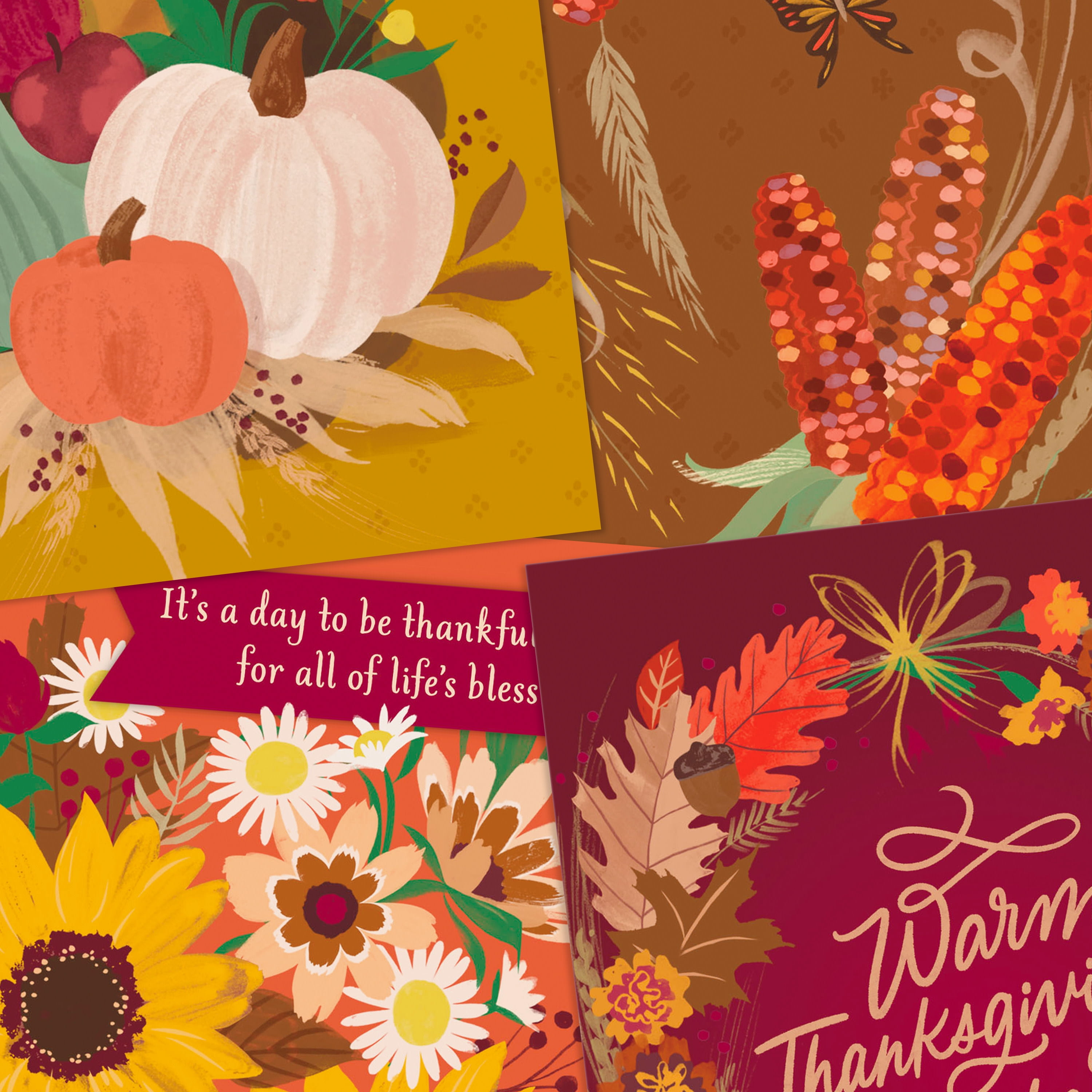 Hallmark Assorted Thanksgiving Cards (Warm Wishes and Traditions), 8 Count