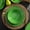 Green, variant on Beaded Crackle 12 count Melamine Camping Dinnerware Set, Plates and Bowls Sets, Indoor and Outdoor Use, Break-Resistant Rustic RV Dishes Set, Service for 4()...