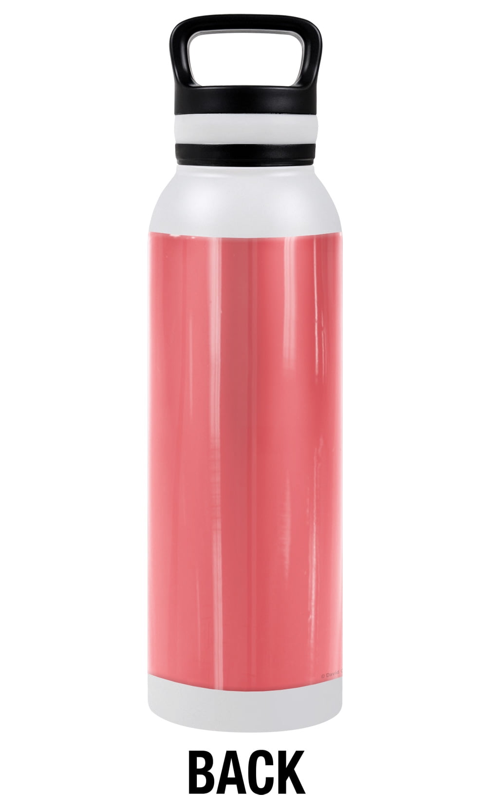 bCreative - David Olenick Official Divine In Stavention 24 oz Insulated Canteen Water Bottle, Leak Resistant, Vacuum Insulated Stainless Steel with Loop Cap