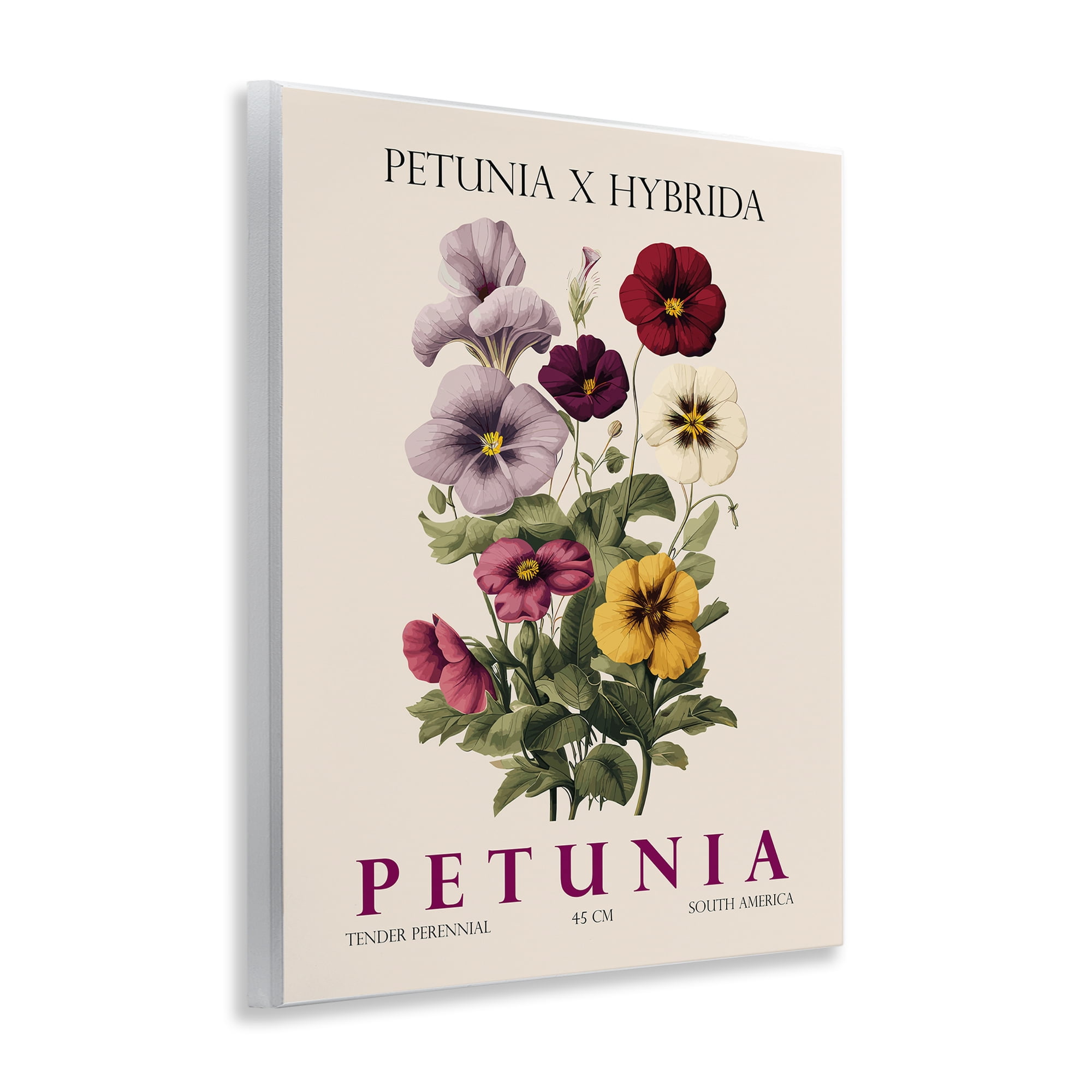 Stupell Industries Natural Petunia Bundle Wall Plaque Art, design by Christopher Giampietro