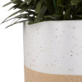 thumbnail image 2 of Bouclair Green Artificial Plant in Ceramic Pot, 2 of 7