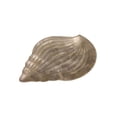 thumbnail image 1 of Cheungs CRLL-03 Plateau en Forme de Coquille de Bojong, 1 of 1
