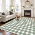 thumbnail image 2 of Area Rug 5'x7', Sage Green Buffalo Plaid Non-slip Runner Rug Carpet for Bedside, Farmhouse Green White Checkered Washable Outdoor Indoor Area Rugs Mat for Entryway/Living Room/Bedroom/Kitchen/Office, 2 of 9