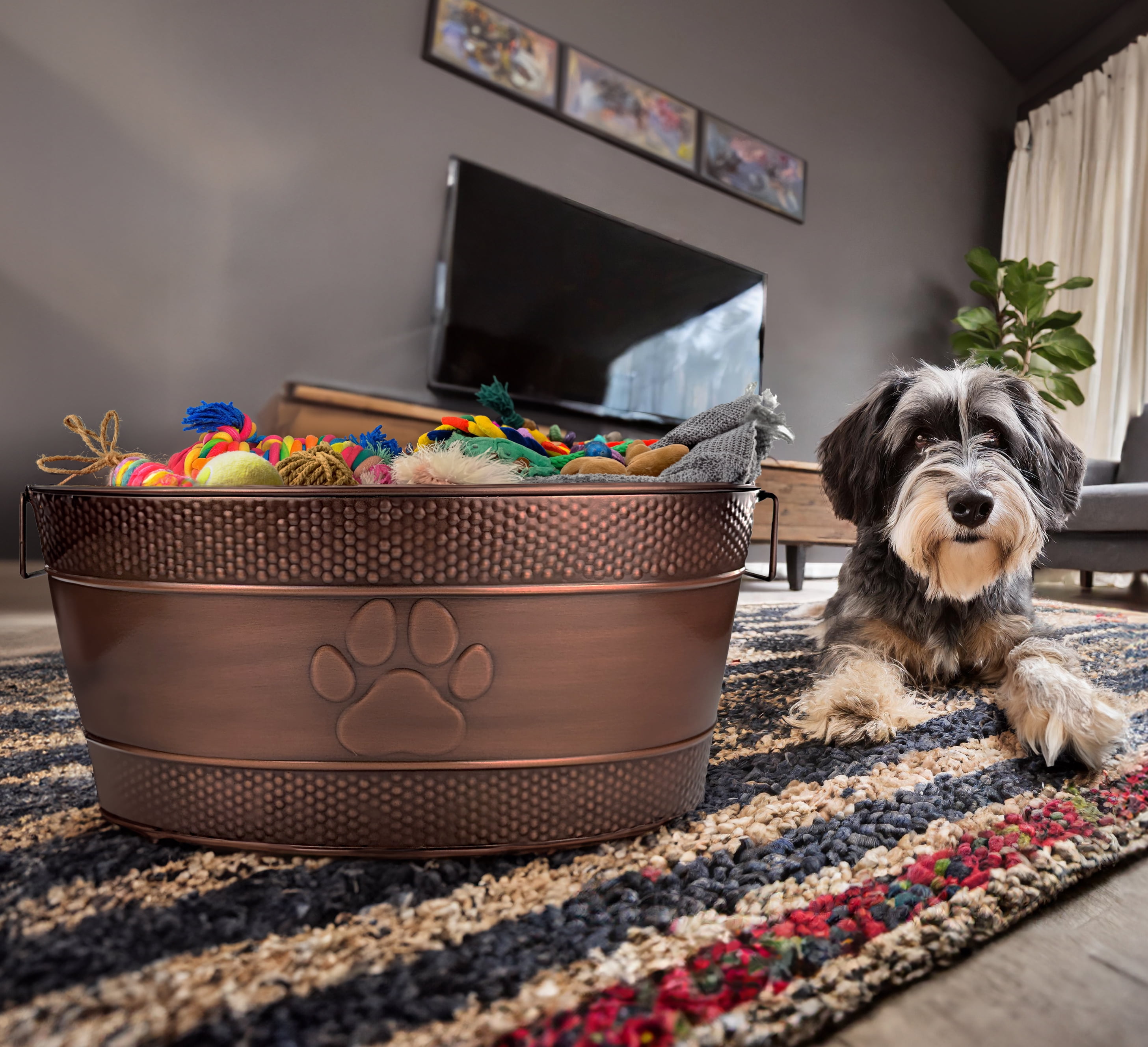 Indestructible dog toy box hot sale