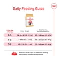 thumbnail image 4 of Nutrition pour Races Félines - Nourriture Persane pour Chaton - 1,36 kg, 4 of 5