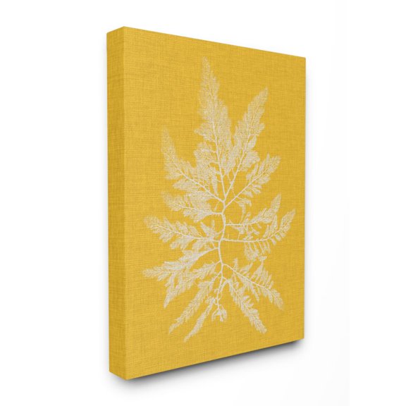Stupell Industries Coral Seaweed Yellow White Beach Design Canvas Wall Art by Vision Studio, 16" x 20", Canvas