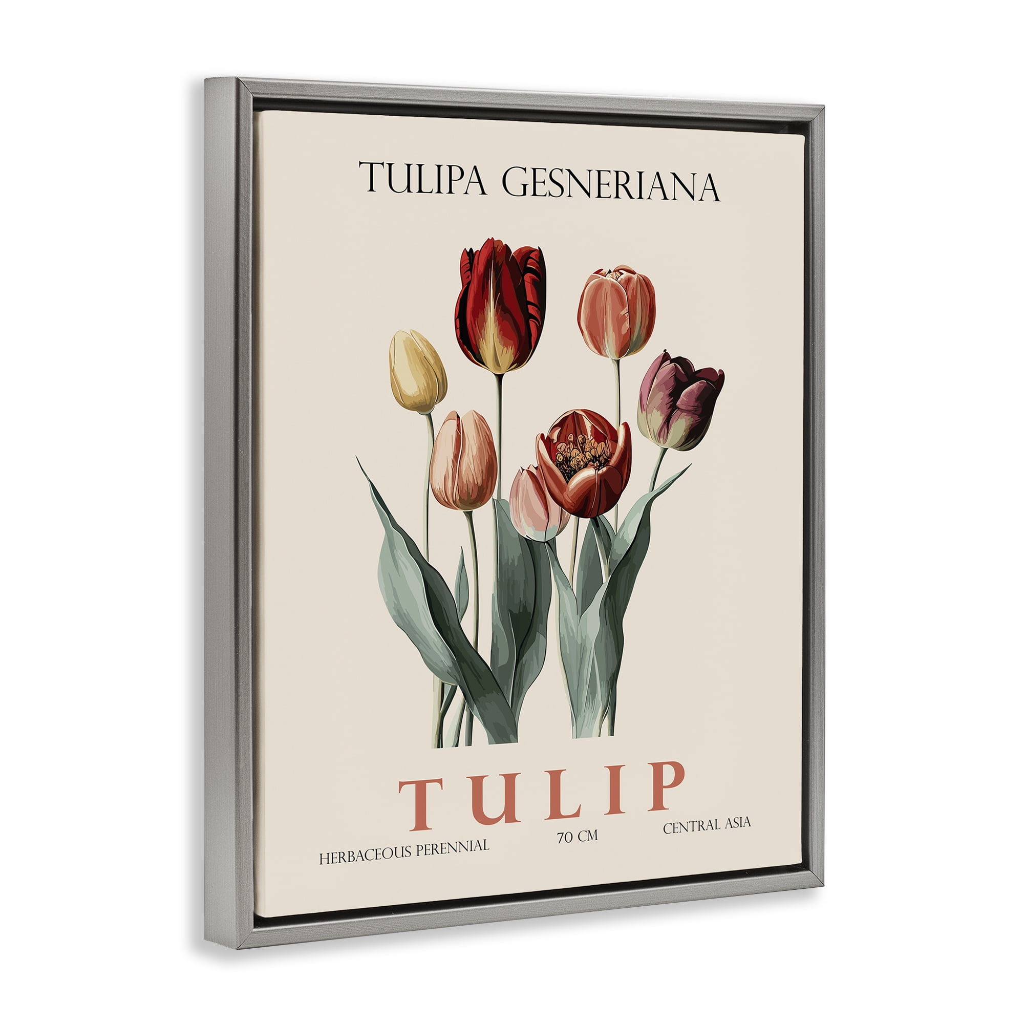 Stupell Industries Natural Tulip Bundle Gray Framed Floater Canvas Wall Art, design by Christopher Giampietro