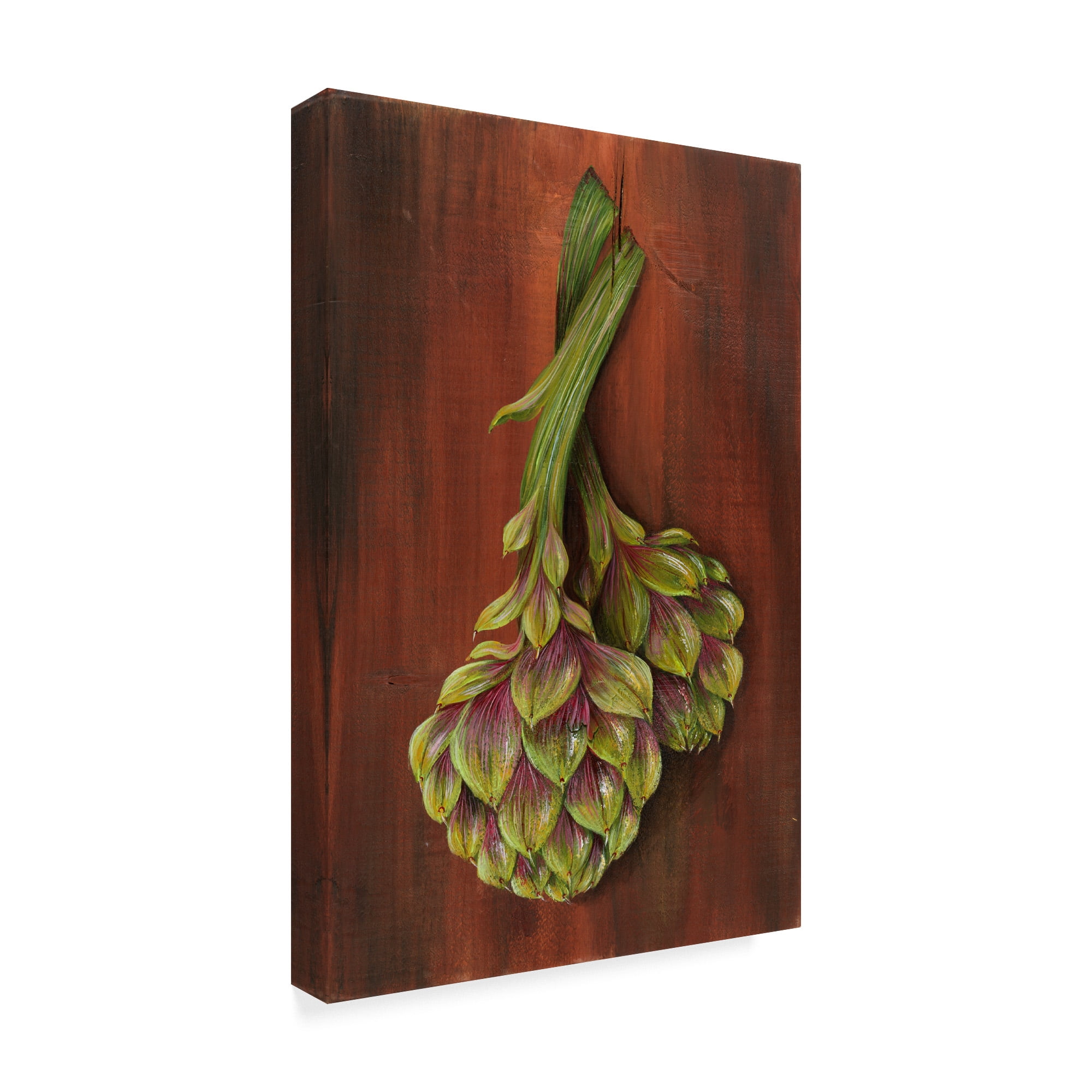 Trademark Fine Art 'Artichoke' Canvas Art by Gigi Begin