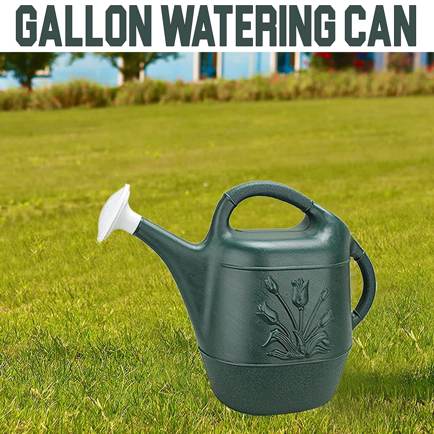 Novelty 2 Gallon Watering Can - Hunter Green 1/Pkg Pkg/6 — Residential Use, Standard Application
