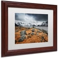 thumbnail image 2 of Trademark Fine Art "Fever" Canvas Art by Philippe Sainte-Laudy, White Matte, Wood Frame, 2 of 4
