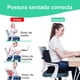 thumbnail image 2 of Soporte Lumbar para Silla de Oficina con Gel Cojin para Coxis y Ciatica Ergonomico Almohada Lumbar para Asiento Automovil Cushion de Respaldo Ortopédica Espuma con Memoria Aliviar Dolor de Espalda, 2 of 8
