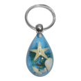 thumbnail image 1 of Natural Starfish Amber Charm Keychains Backpack Decoration Fashion Keys Holder, 1 of 5