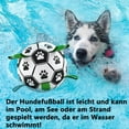 thumbnail image 3 of Juguete interactivo para perros, balón de fútbol con lengüetas de agarre, pelotas resistentes para perros de razas pequeñas y medianas, juguete acuático, apto para uso en interiores y exteriores, 3 of 4