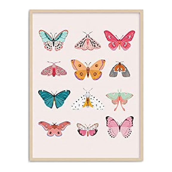 Haus and Hues Bugs & Butterflies 12" x 16" Art Prints