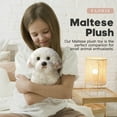 thumbnail image 2 of Peluche FAONIE para perro maltés, 26 cm, 2 of 7