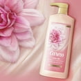 thumbnail image 5 of Caress Body Wash for Women, Daily Silk White Peach & Orange Blossom for Dry Skin 25.4 fl oz, 5 of 8