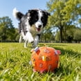 thumbnail image 5 of AuroraX Dog Toys for Small Dogs Balls Soft Dog Toy for Fetch Interactive Durable Squeaky Colorful Dog Toys for Outdoor Play Orange National Dog Day International Cat Day, 5 of 7