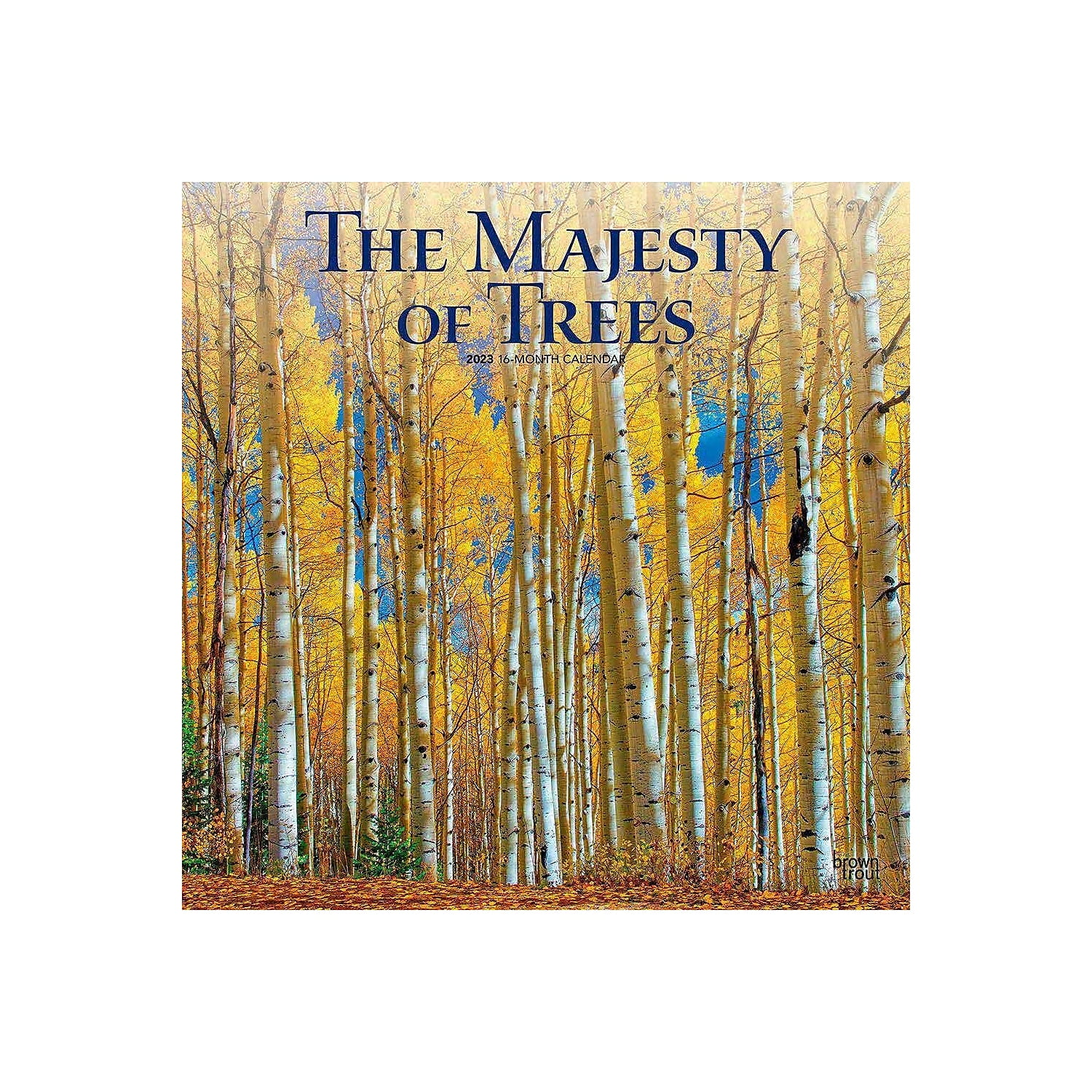 2023 BrownTrout The Majesty of Trees 12'' x 12'' Monthly Wall Calendar (9781975452155)