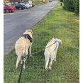 thumbnail image 2 of Mycicy Double Dog Leash Coupler Tandem Leash for Two Dogs No Tangle 360 Swivel Rotation Dual Strong Lead for Large Medium Small Puppy Dogs, 2 of 9